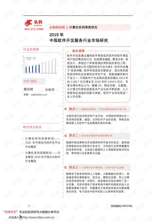 2019年中国软件开发服务行业市场深度研究 创新驱动与产业变革
